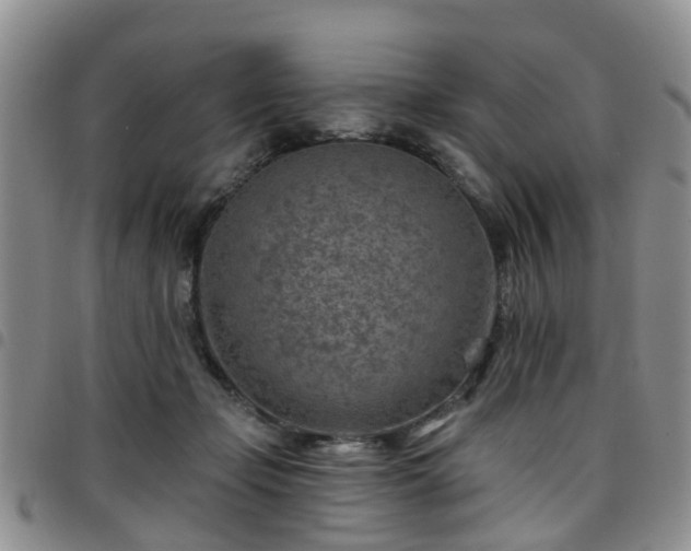 X0000097750365200803141601