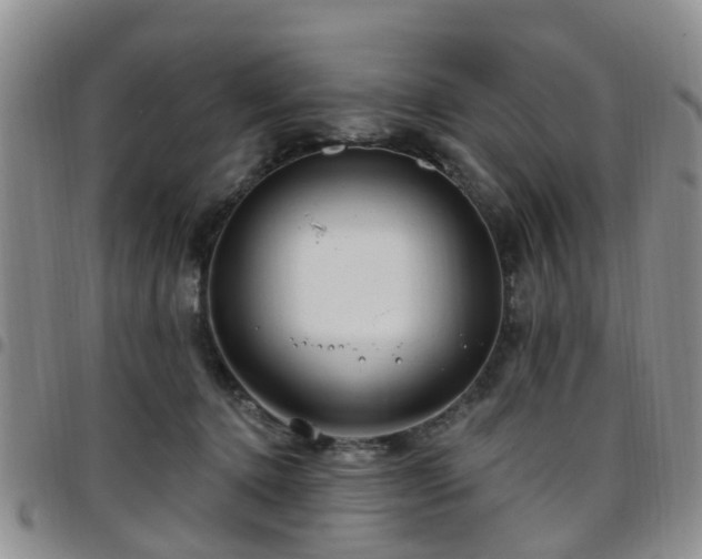 X0000097750368200803141602