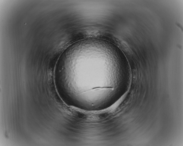 X0000097750369200803141602