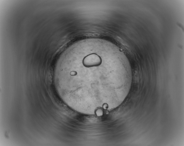 X0000097750370200803141602