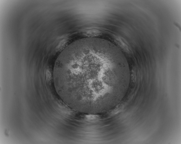 X0000097750371200803141602