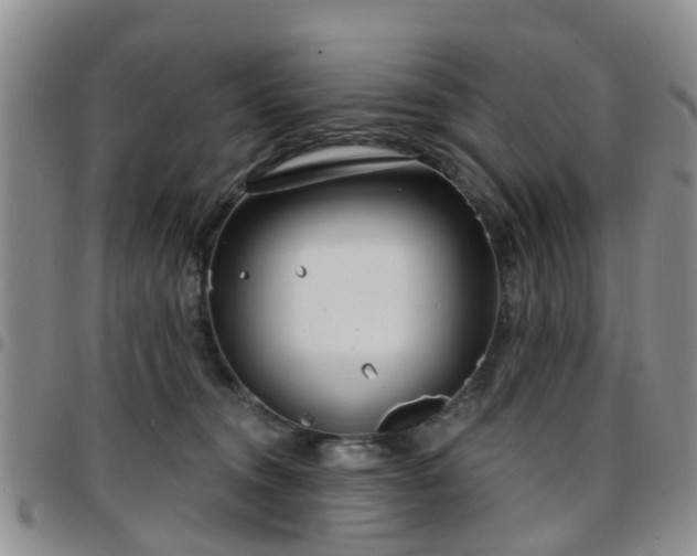 X0000097750372200803141602