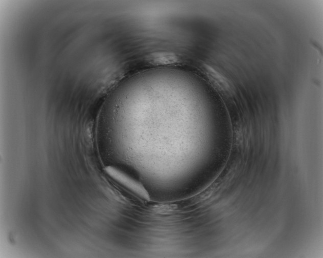 X0000097750373200803141602