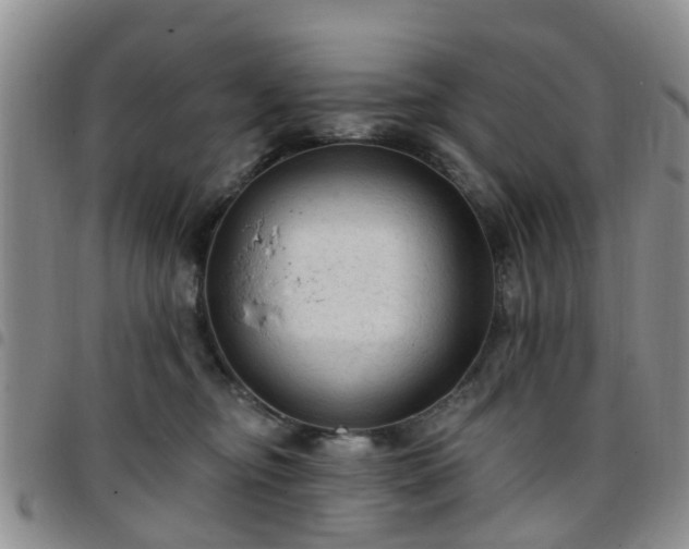 X0000097750374200803141602