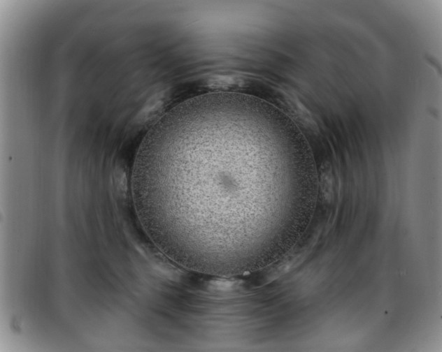 X0000097750375200803141602