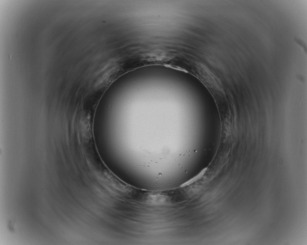 X0000097750376200803141602