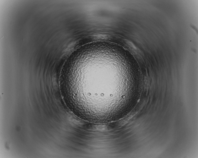 X0000097750377200803141602