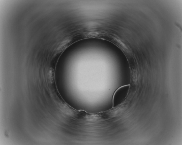 X0000097750378200803141602