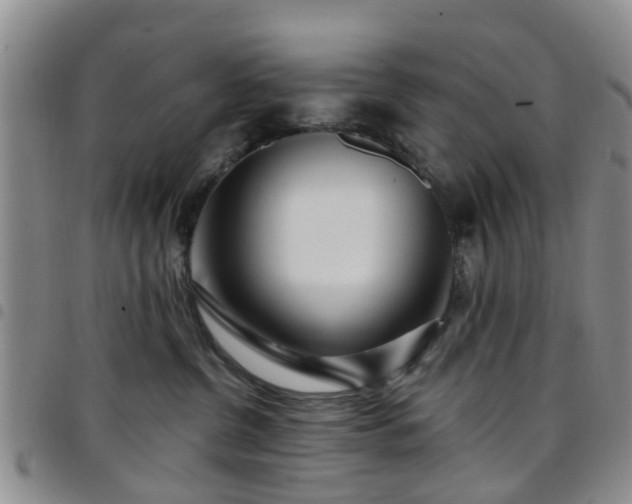 X0000097750380200803141602