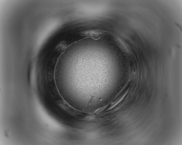 X0000097750381200803141602