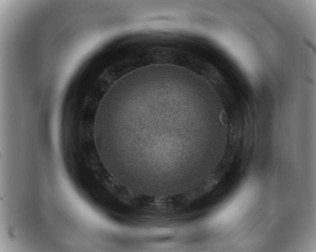 X0000097750383200803141602