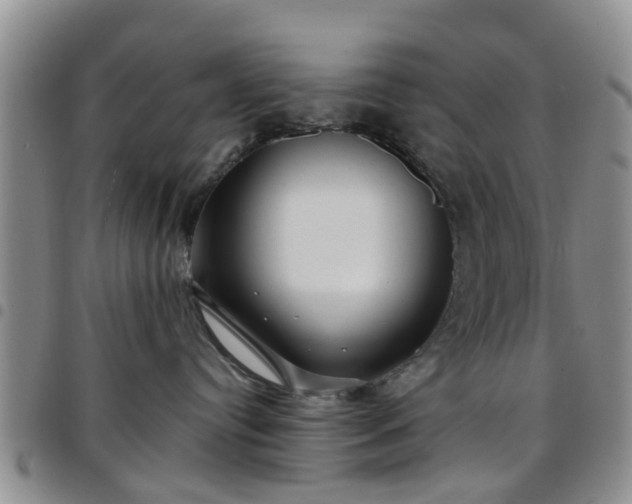 X0000097750384200803141602