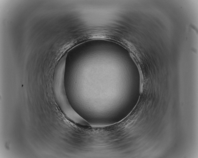 X0000097750385200803141601