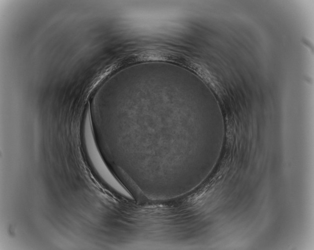 X0000097750386200803141601