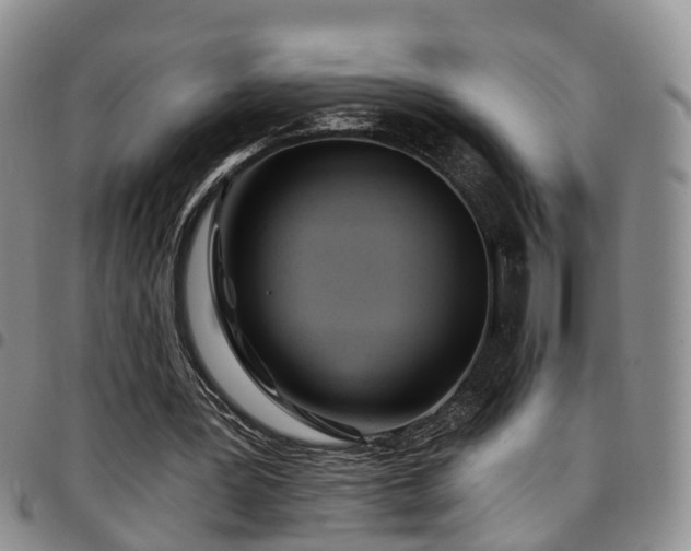 X0000097750387200803141601