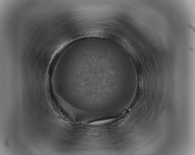 X0000097750388200803141601