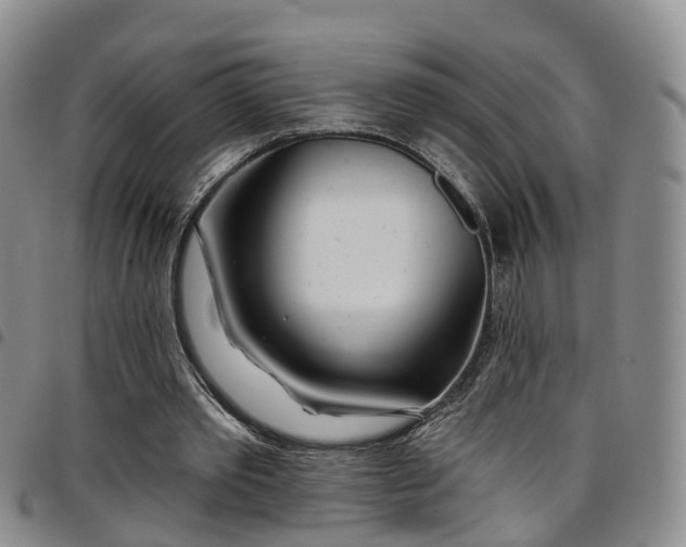 X0000097750389200803141601