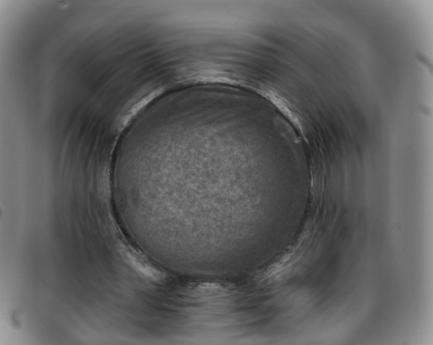 X0000097750390200803141601