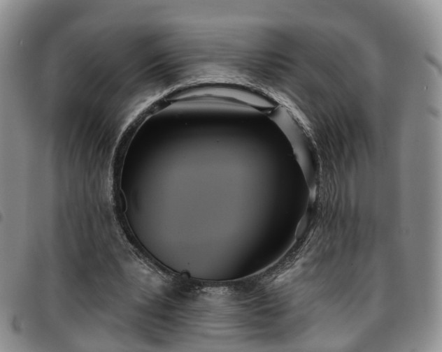 X0000097750391200803141601