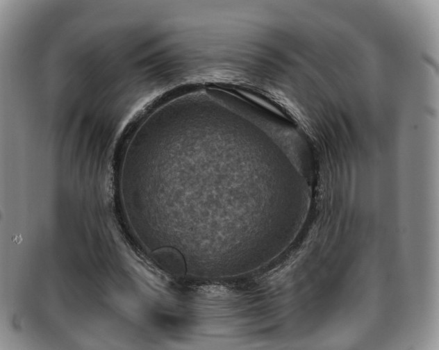 X0000097750392200803141601