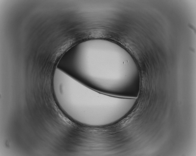 X0000097750393200803141601