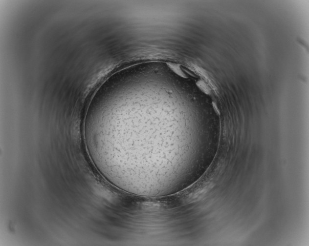 X0000097750394200803141601