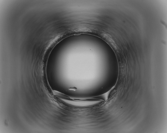 X0000097750395200803141601