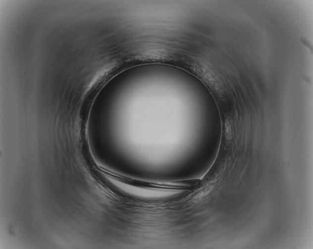 X0000097750396200803141601