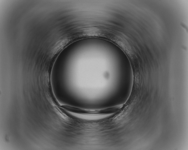 X0000097750397200803141601