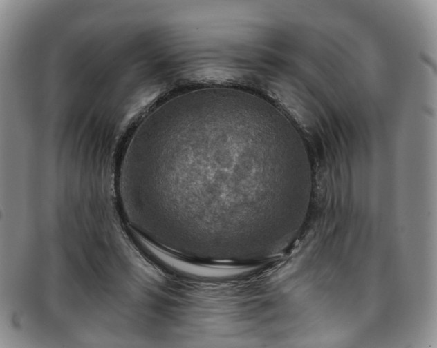 X0000097750399200803141601