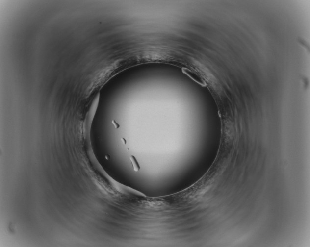 X0000097750401200803141601