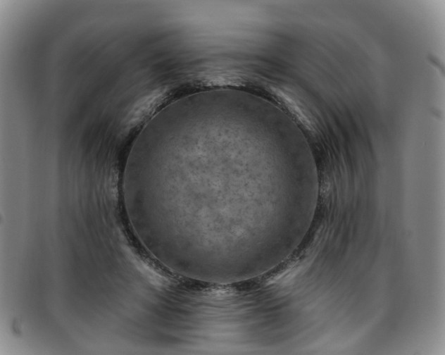 X0000097750402200803141601