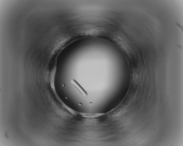 X0000097750403200803141601