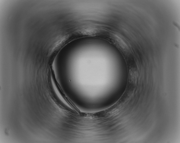 X0000097750404200803141601