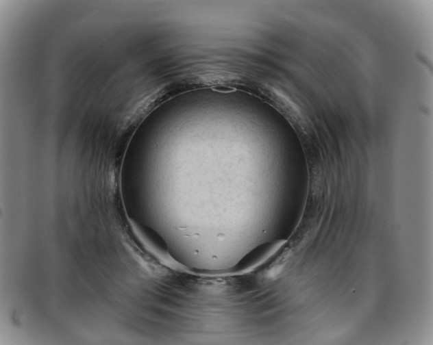 X0000097750405200803141601