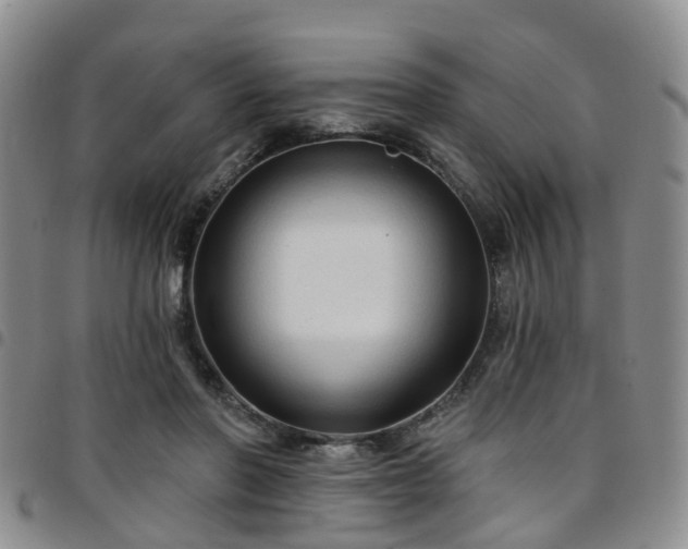 X0000097750406200803141601