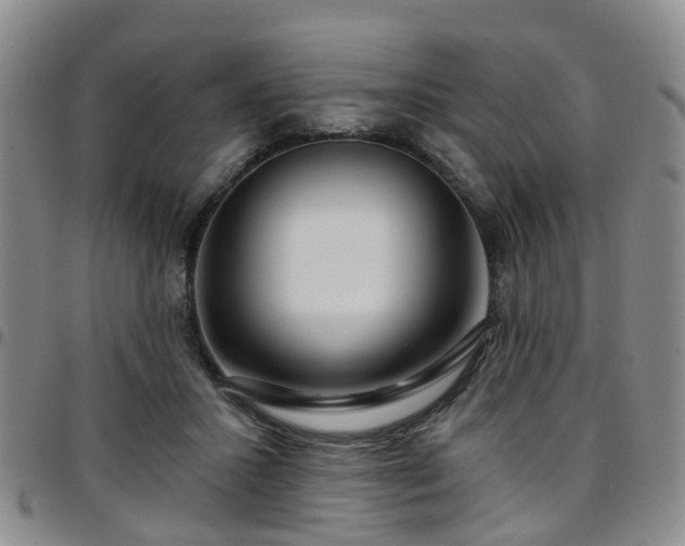 X0000097750407200803141601