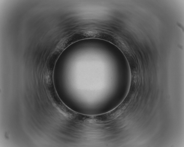 X0000097750408200803141601