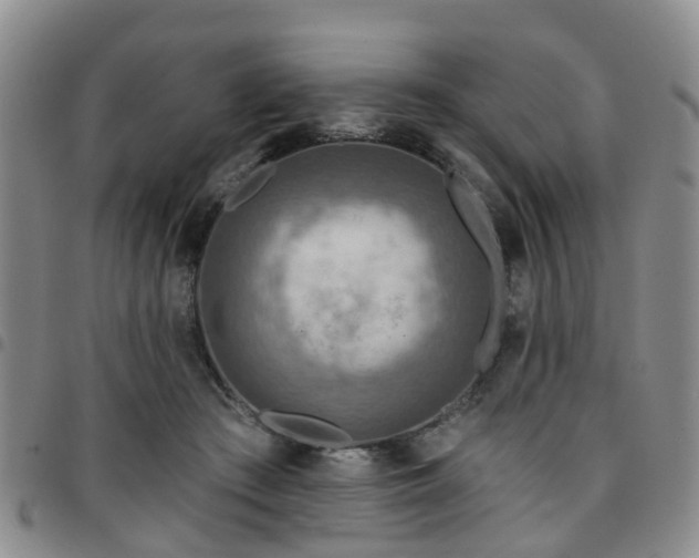 X0000097750409200803141601