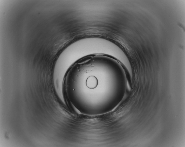 X0000097750411200803141601