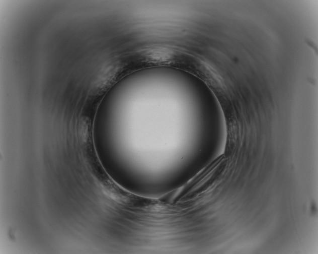 X0000097750412200803141601