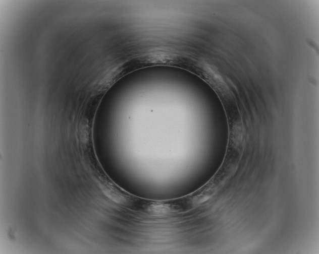 X0000097750413200803141601