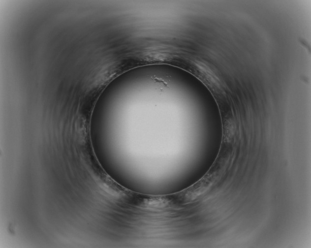 X0000097750414200803141601