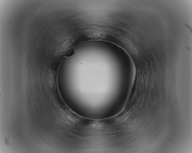 X0000097750416200803141601