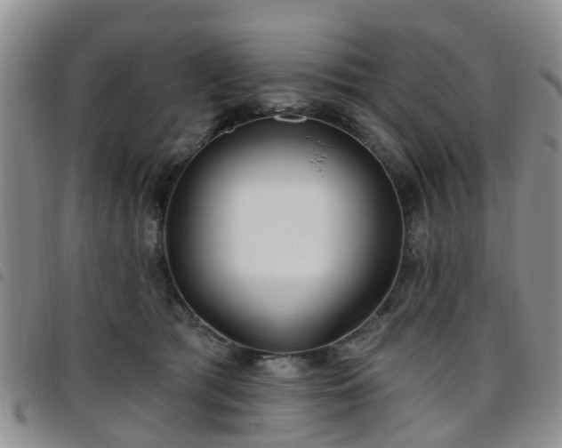 X0000097750417200803141601