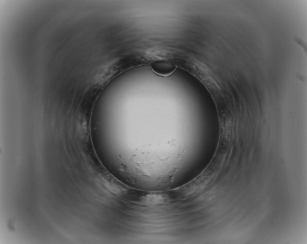 X0000097750418200803141601