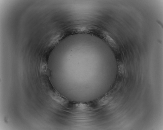 X0000097750419200803141600