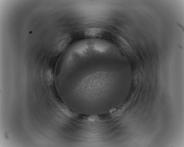 X0000097750420200803141600