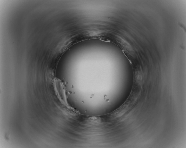 X0000097750421200803141600