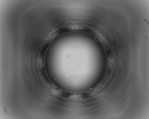 X0000097750422200803141600